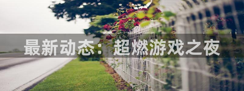极悦娱乐注册网站：最新动态：超燃游戏之夜