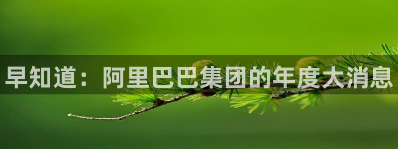极悦娱乐2登录：早知道：阿里巴巴集团的年度大消息