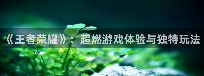 手机版极悦娱乐客户端下载