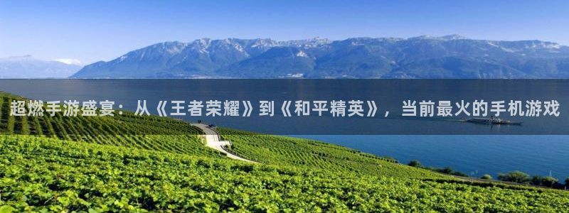 极悦娱乐咨询：超燃手游盛宴：从《王者荣耀》到《和平精英》，当