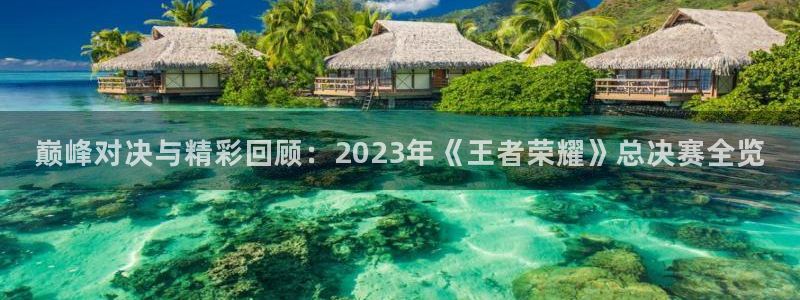 极悦娱乐手机网页版登录：巅峰对决与精彩回顾：2023年《王者