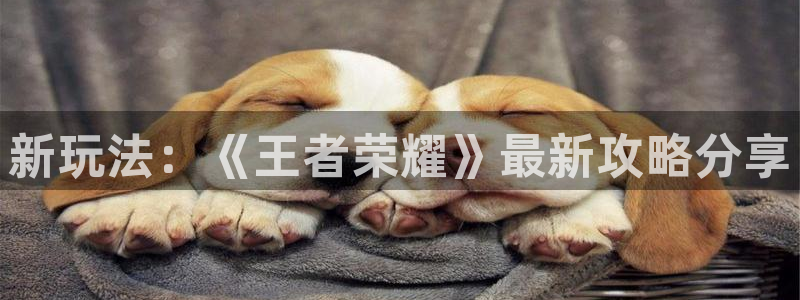 极悦娱乐app下载|下载地址：新玩法：《王者荣耀》最新攻略分