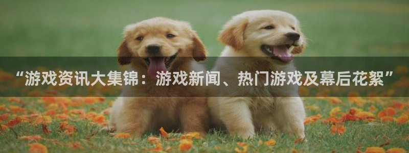 极悦娱乐平台官网入口