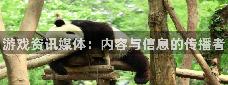 极悦娱乐4招商：游戏资讯媒体：内容与信息的传播者