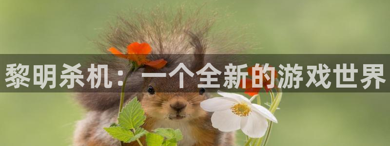 极悦娱乐平台登录线路：黎明杀机：一个全新的游戏世界