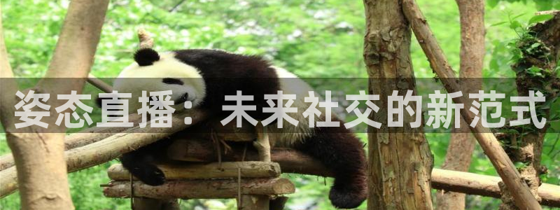 857直播平台看足球：姿态直播：未来社交的新范式