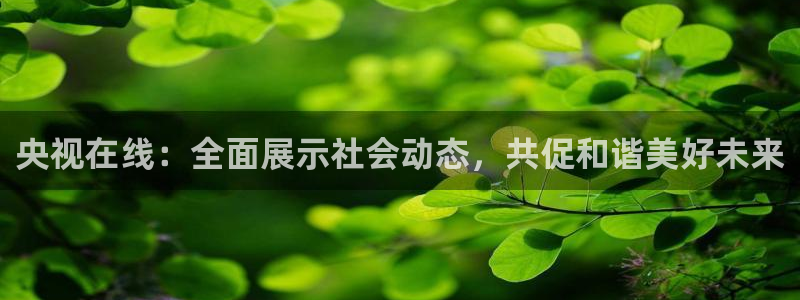 857体育赛事直播平台