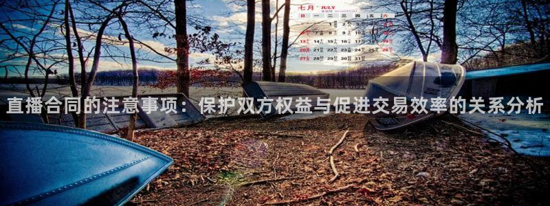 857直播体育：直播合同的注意事项：保护双方权益与促进交易效率的关系分析