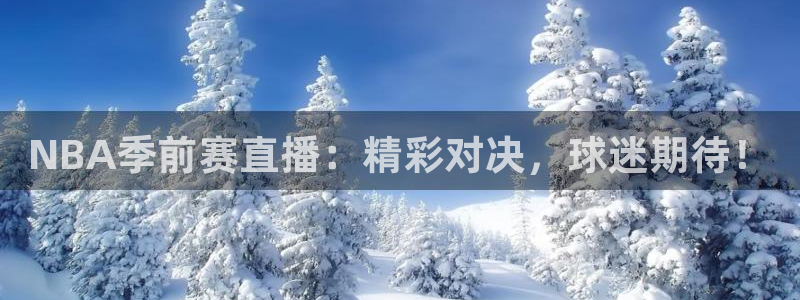 857直播体育app：NBA季前赛直播：精彩对决，球迷期待！