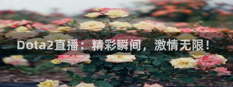 857nba体育赛事直播：Dota2直播：精彩瞬间，激情无限！