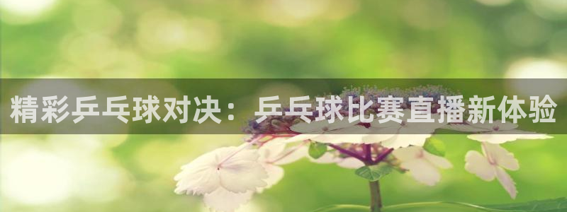 857体育赛事直播官网：精彩乒乓球对决：乒乓球比赛直播新体验