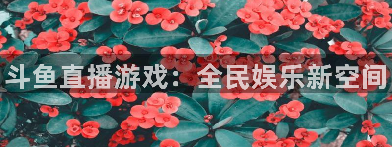 足球直播857直播间：斗鱼直播游戏：全民娱乐新空间