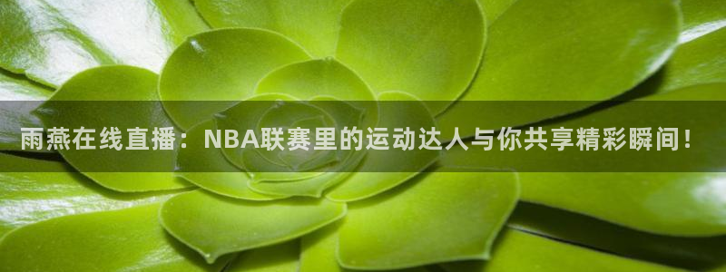 857赛事直播平台：雨燕在线直播：NBA联赛里的运动达人与你共享精彩瞬间！