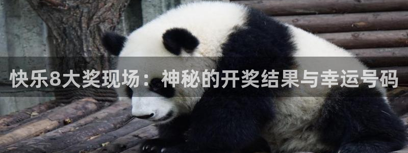 857直播体育赛事直播：快乐8大奖现场：神秘的开奖结果与幸运号码