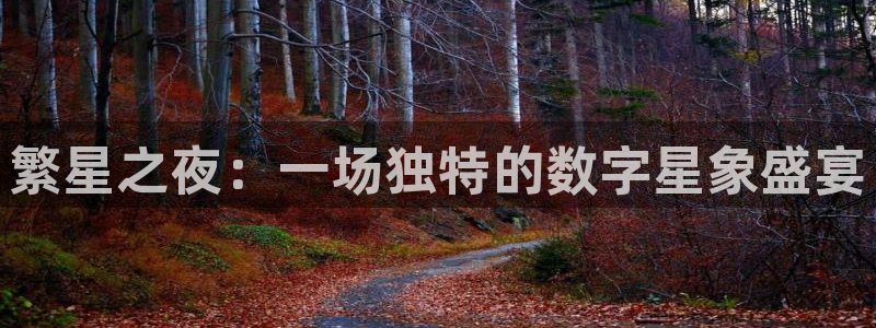 857 体育直播：繁星之夜：一场独特的数字星象盛宴