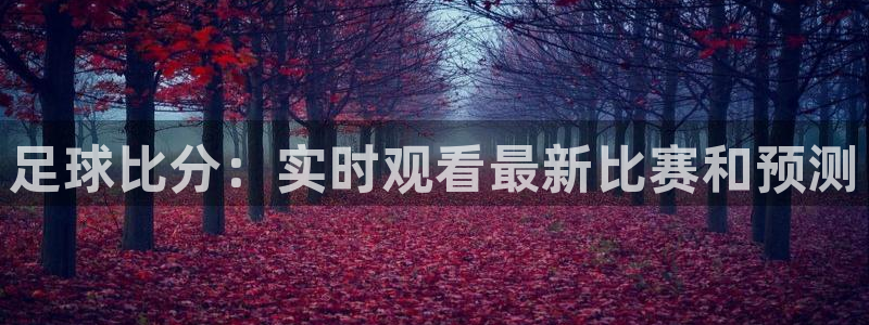 857雨燕直播体育：足球比分：实时观看最新比赛和预测