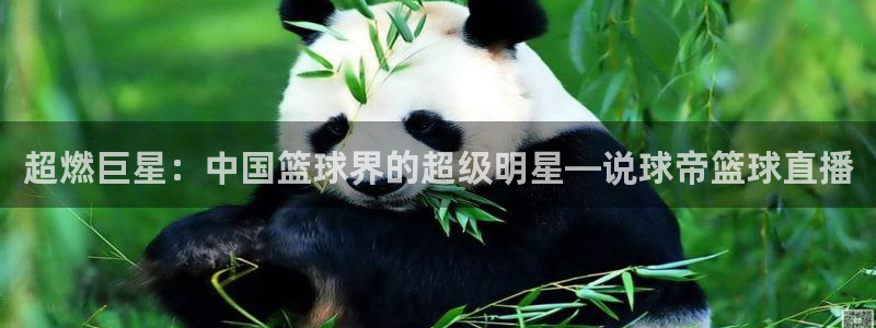 857足球体育赛事直播：超燃巨星：中国篮球界的超级明星—说球帝篮球直播